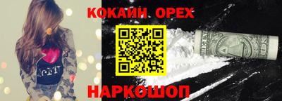 сатива Гай