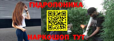 сатива Гай
