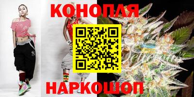 jwh Гатчина
