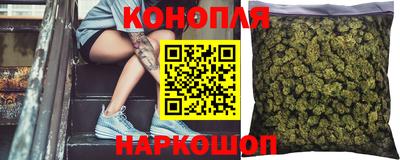 прущие грибы Гагарин