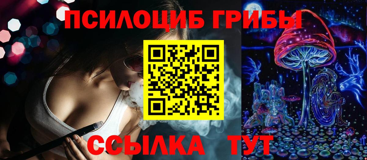 Мценск  Псилоцибиновые грибы Psilocybine cubensis  Вход с VPN 