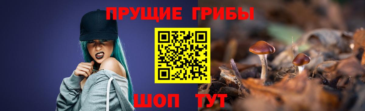 Псилоцибиновые грибы Magic Shrooms Мценск