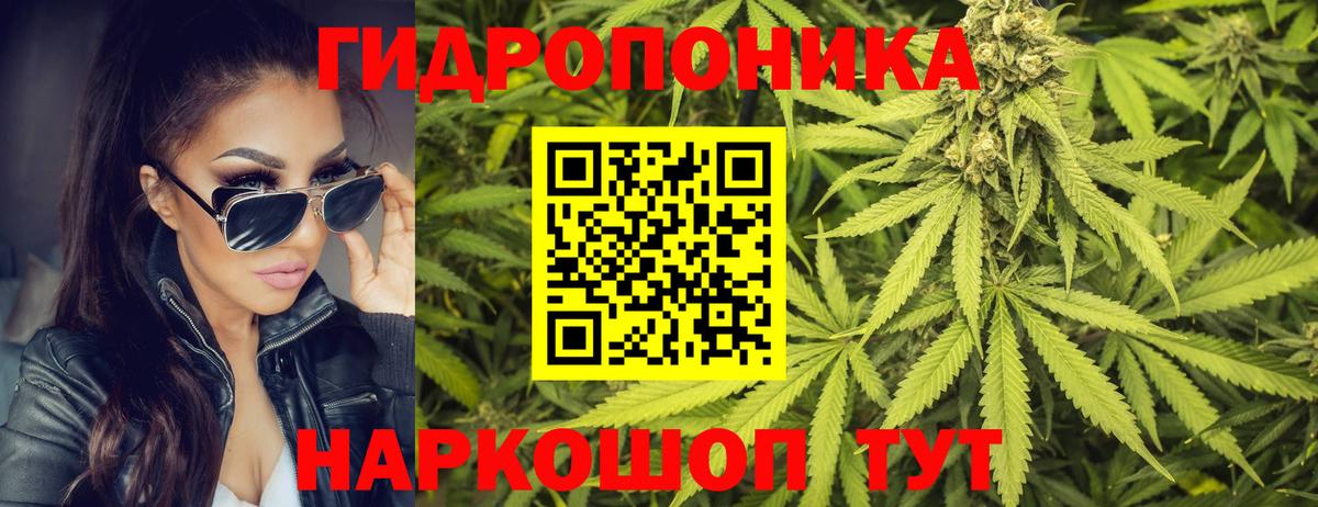 Марихуана план  Конопля LSD WEED  Вход с VPN  Мценск  МАРИХУАНА конопля  Бошки Шишки MAZAR 